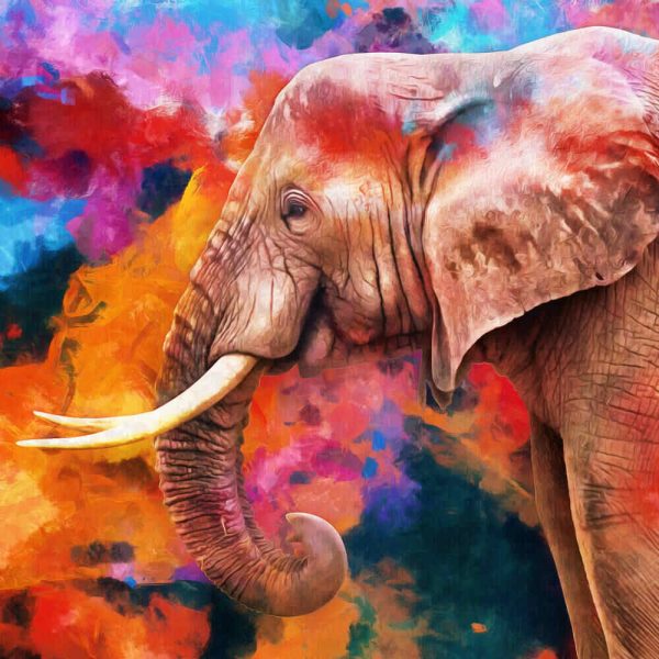 Modern oil painting of elephant, artist collection of animal painting for decoration and interior, canvas art, abstract.