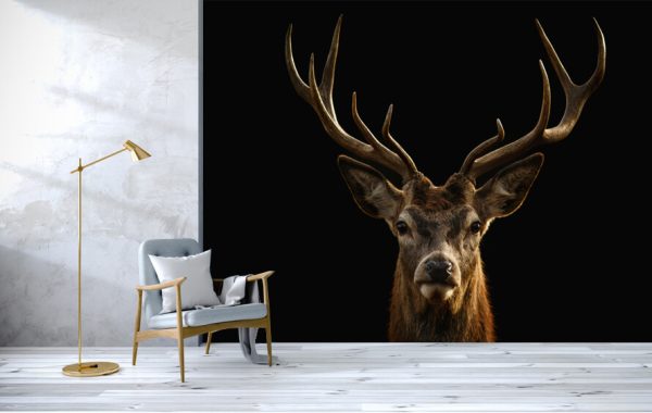 Red deer portrait on black background. - Image 3