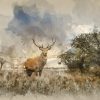 Watercolour painting of Beautiful red deer stag in countryside landscape scene looking out into distance concept image - Image 2