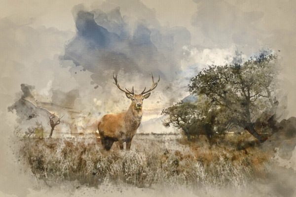 Watercolour painting of Beautiful red deer stag in countryside landscape scene looking out into distance concept image - Image 2