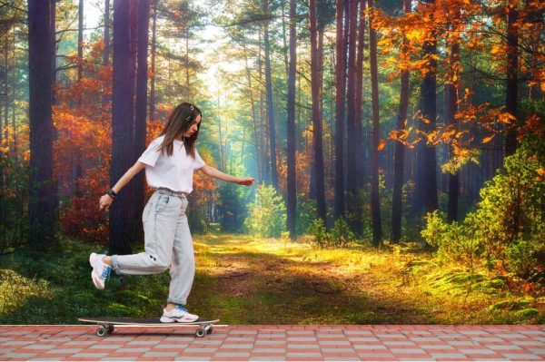 Amazing autumn forest in morning sunlight. Red and yellow leaves on trees in woodland. Golden forest landscape - Image 3