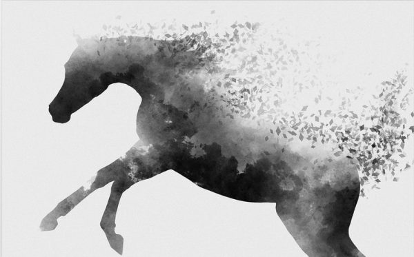 Drawing-Ink-Animal-Horse-Simple-Fragmented-Creative - Image 2