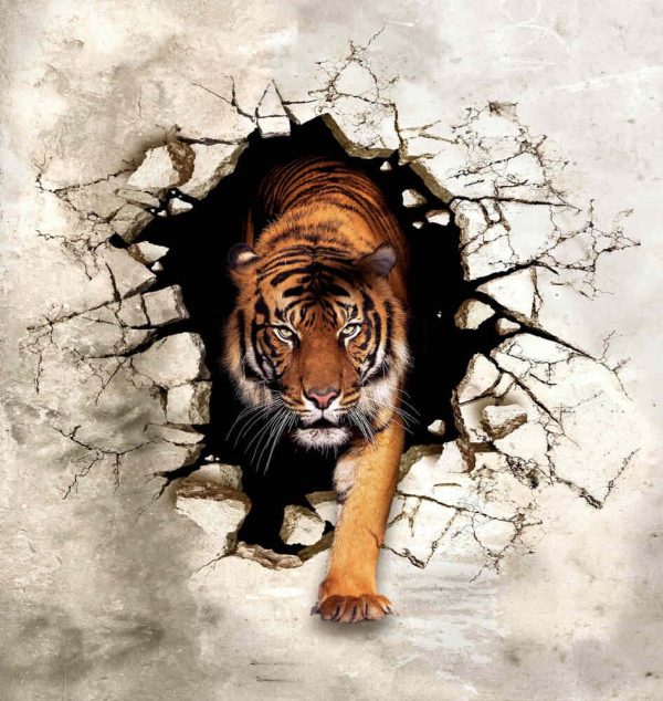 3d picture tiger emerges from the destroyed wall for digital printing wallpaper, custom design wallpaper