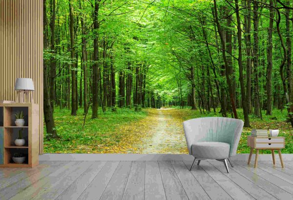 beautiful green forest in summer - Image 2