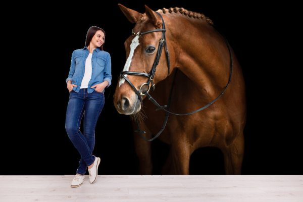 Elegant horse portrait on black background. Horse on dark background. - Image 3