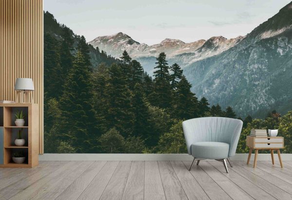 Coniferous Forest and Mountains Landscape Travel serene scenery summer green - Image 2