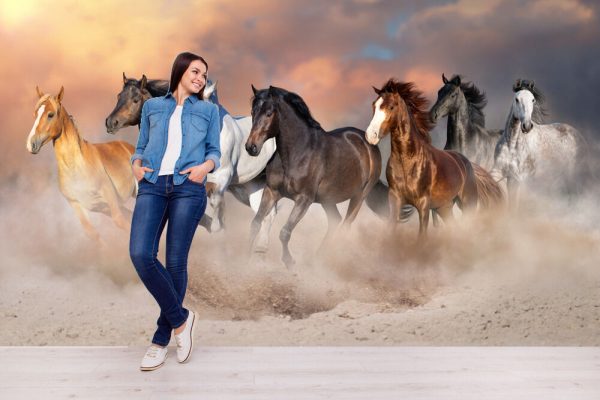 Horse herd run gallop in desert dust against dramatic sky - Image 3