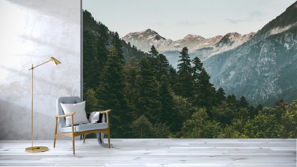 Coniferous Forest and Mountains Landscape Travel serene scenery summer green - Image 3