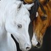 Horses in love . Black and white. Painting oil canvas - Image 2