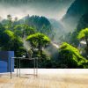 Exotic foggy forest. Jungle panorama, forest oasis. Foggy dark forest. Natural forest landscape. 3D illustration. - Image 3