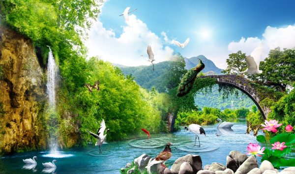 Waterfall wallpaper and nature image with peacock with swan wallpaper for walls - Image 2