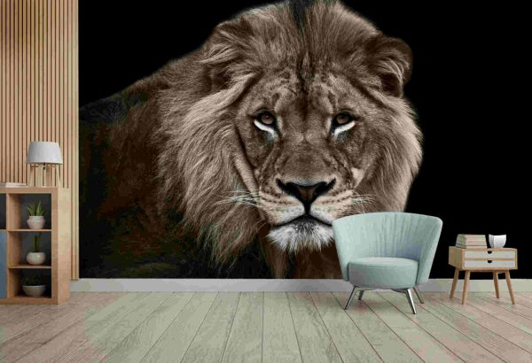 Big Great Dangerous Lion Cute Face