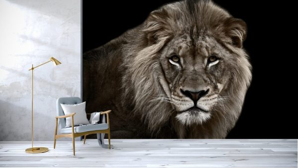 Big Great Dangerous Lion Cute Face - Image 3