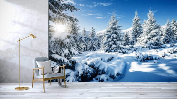 Majestic white spruces glowing by sunlight - Image 3