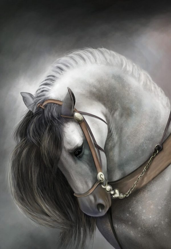 Painted white horse - Image 2