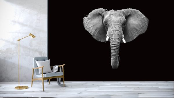 Elephant Head Isolated on White - Image 2