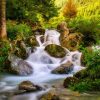 Wild forest waterfall creek in spring. Waterfall creek stones in wild forest - Image 2