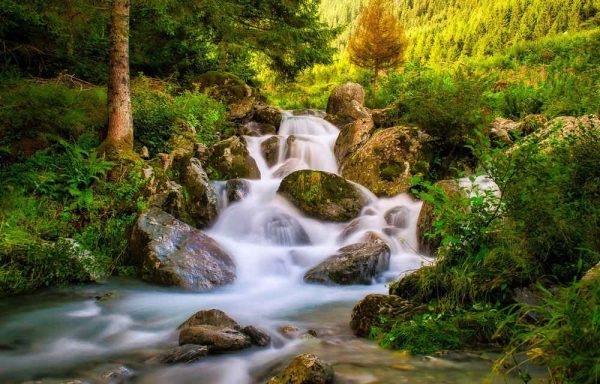 Wild forest waterfall creek in spring. Waterfall creek stones in wild forest - Image 2