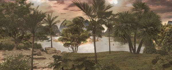 Tropical trees and leaves in foggy forest wallpaper for walls - 3D illustration
