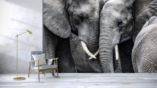 Elephants - Image 2