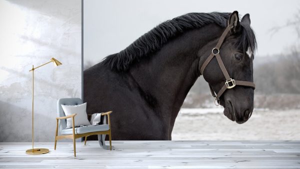 Portrait of a black stallion - Image 3