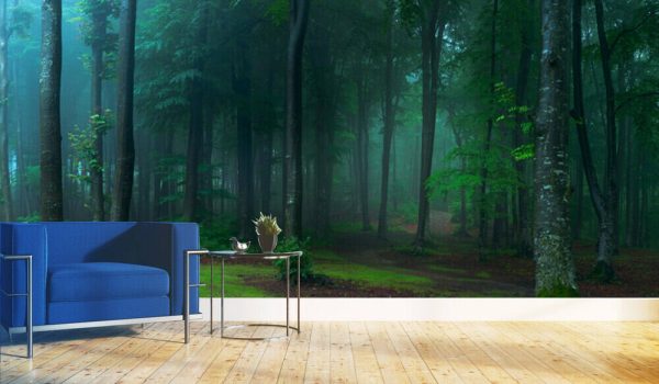 Panorama of foggy forest. Fairy tale spooky looking woods in a misty day. Cold foggy morning in horror forest - Image 3