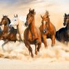 Seven horses force running out of sand - Image 2