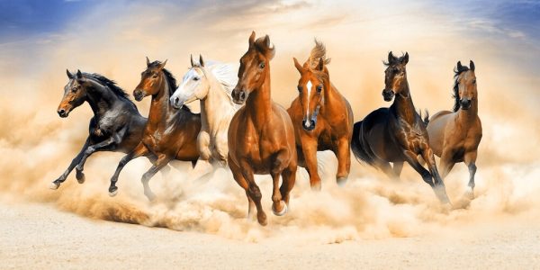 Seven horses force running out of sand - Image 2
