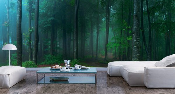 Panorama of foggy forest. Fairy tale spooky looking woods in a misty day. Cold foggy morning in horror forest
