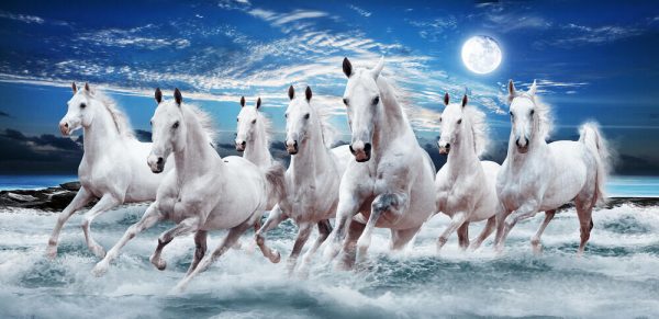 Seven horses force running out - Image 2