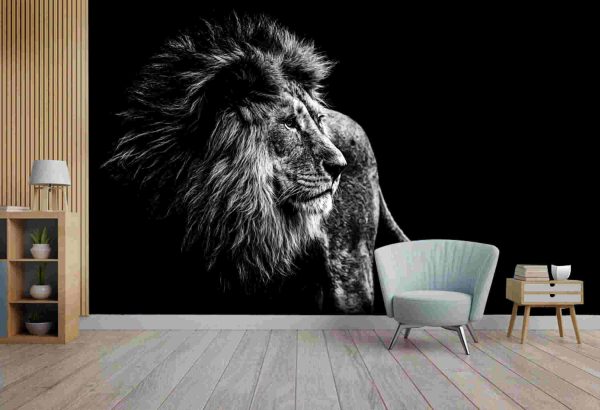 Lion in black and white