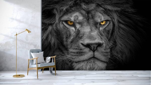 Lion king , Portrait Wildlife animal - Image 3