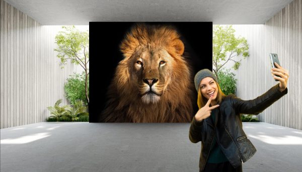 Lion king isolated on black - Image 2