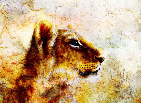Little lion cub head. animal painting on vintage paper, abstract colour background with spots and crackle