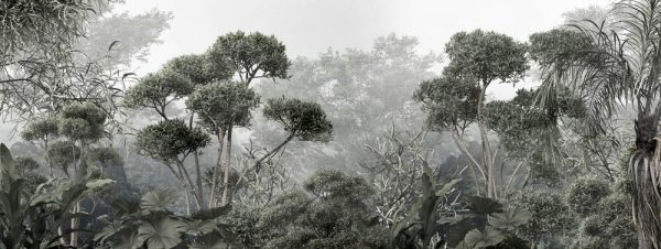 Tropical trees and leaves wallpaper design in foggy forest