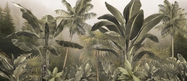Tropical trees and leaves in foggy forest wallpaper design - Image 2