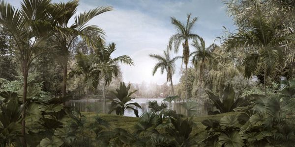 Tropical trees and leaves in foggy forest wallpaper design